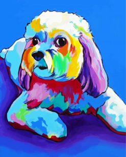 Colorful Cavachon Dog paint by numbers