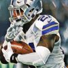 Dallas Cowboys American Football Player Paint by numbers