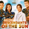 Descendants Of The Sun Serie paint by number