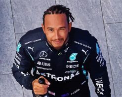 Driver Lewis Hamilton paint by numbers