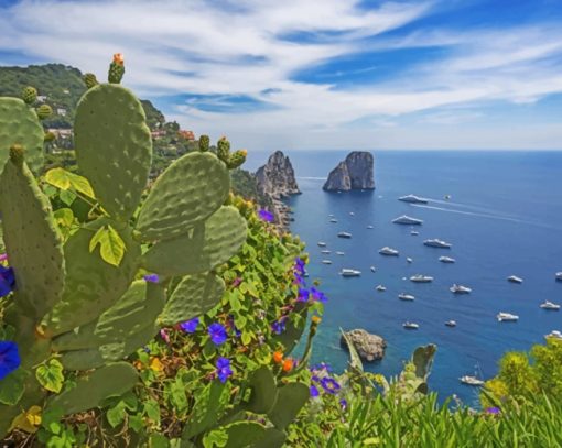 Capri The Italian Island Paint by numbers