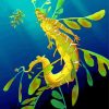 Leafy seadragon art paint by numbers