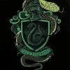 Slytherin Harry Potter paint by number