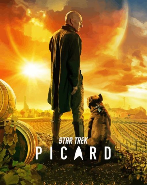 Star Trek Picard movie poster paint by number