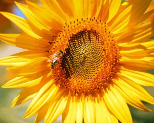 Sunflower With A Bee paint by numbers