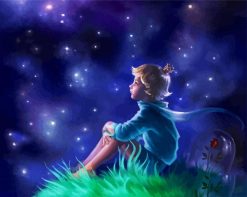 The Little Prince Art paint by number