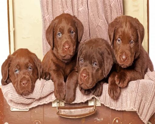 Cute Chocolate Lab Puppies paint by numbers