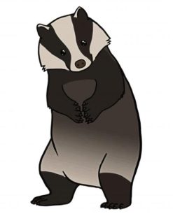 European Badger Paint By Number