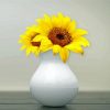 Sunflower Vintage Vase paint by numbers