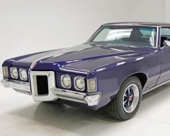 1969 Pontiac Grand Prix paint by numbers