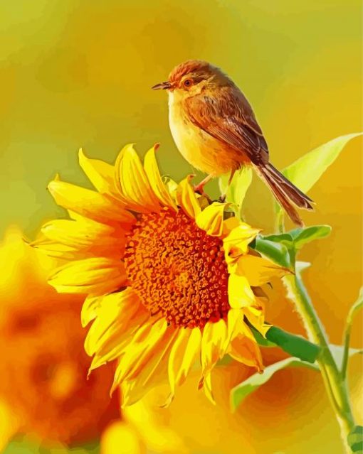 Bird And Sunflower paint by numbers