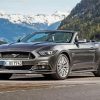 Black Ford Mustang Convertible paint by numbers