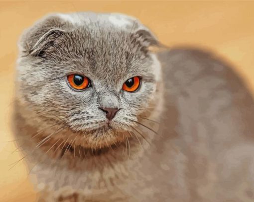 British Shorthair paint by numbers