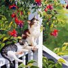 Cats And Hummingbird paint by numbers