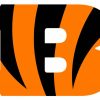 Cincinnati Bengals Logo paint by numbers
