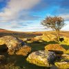 Dartmoor National Park Landscape paint by numbers