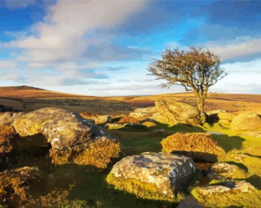 Dartmoor National Park Landscape paint by numbers
