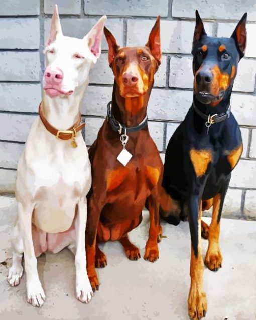 Dobermans paint by numbers