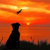 Dog Silhouette In Sunset paint by numbers