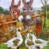 Donkeys And Geese In Farm paint by numbers