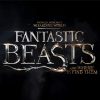 Fantastic Beasts paint by numbers