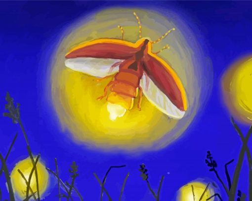 Firefly art paint by numbers