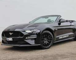 Ford Mustang Convertible paint by numbers