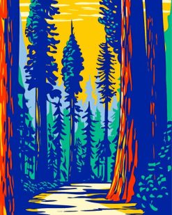 Illustration Redwoods Park paint by numbers