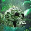 Jungle skull in lake paint by numbers