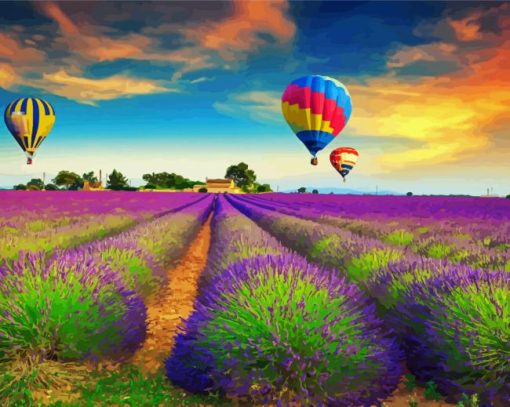 Lavender Field Hot Air Balloons paint by numbers