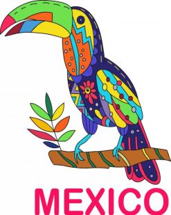 Mexican Parrot Bird paint by numbers