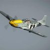 Mustang P51 plane paint by number