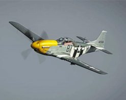 Mustang P51 plane paint by number