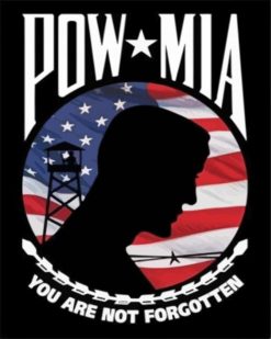 Pow Mia paint by numbers