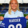 Pernille Harder Footballer paint by numbers