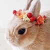 Rabbit with Colorful flower wreath paint by number