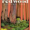 Redwoods National Park Poster paint by numbers
