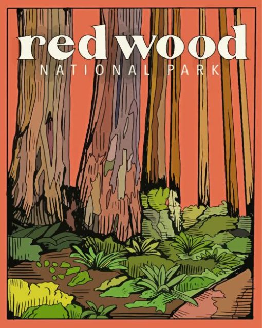 Redwoods National Park Poster paint by numbers