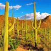 Saguaro Cactus Plants In Desert paint by numbers