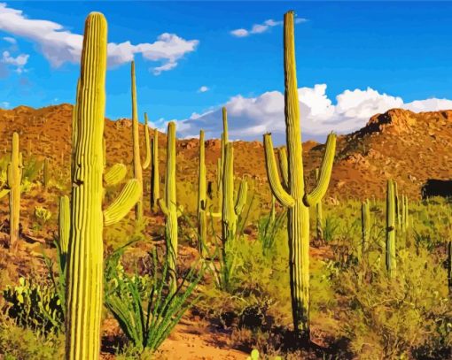 Saguaro Cactus Plants In Desert paint by numbers