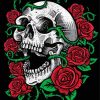 Skull And Roses Illustration paint by numbers