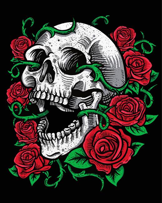 Skull And Roses Illustration paint by numbers
