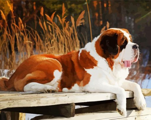 St Bernard Dog paint by numbers