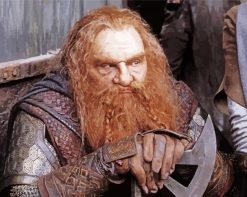 Lord Of The Rings Gimli paint by numbers