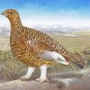 The Willow Ptarmigan Bird paint by numbers