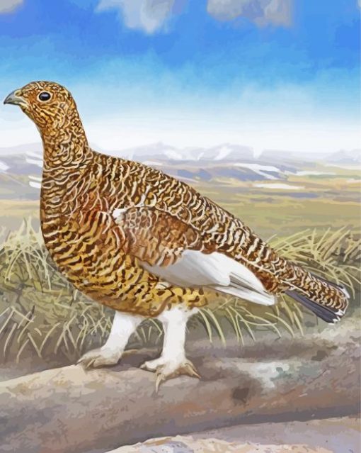 The Willow Ptarmigan Bird paint by numbers