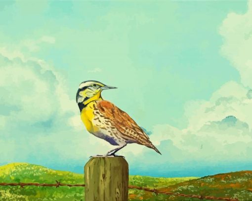 Western Meadowlark Art paint by numbers
