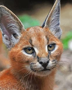Aesthetic Caracal Animal paint By Numbers
