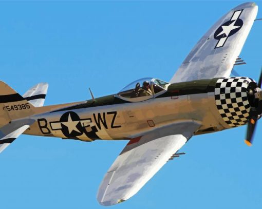 Aesthetic P 47 Thunderbolt paint by numbers