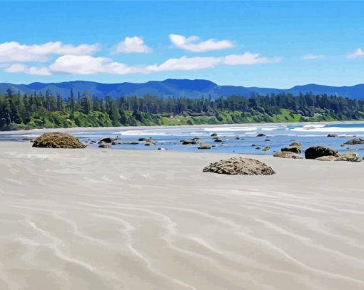 beautiful beach in Vancouver island paint by number